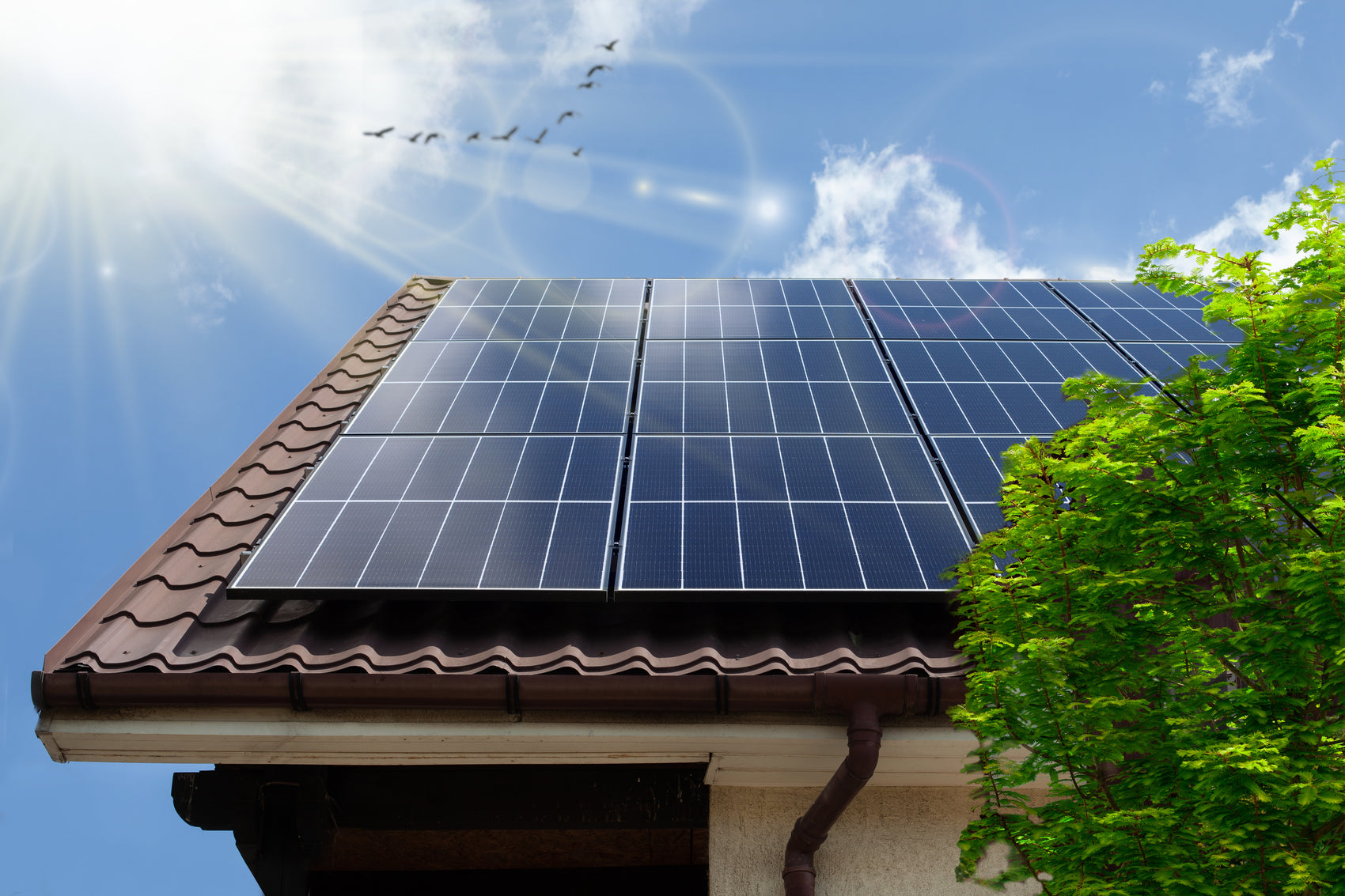 What Is the Best Battery for Solar Systems in South Africa
